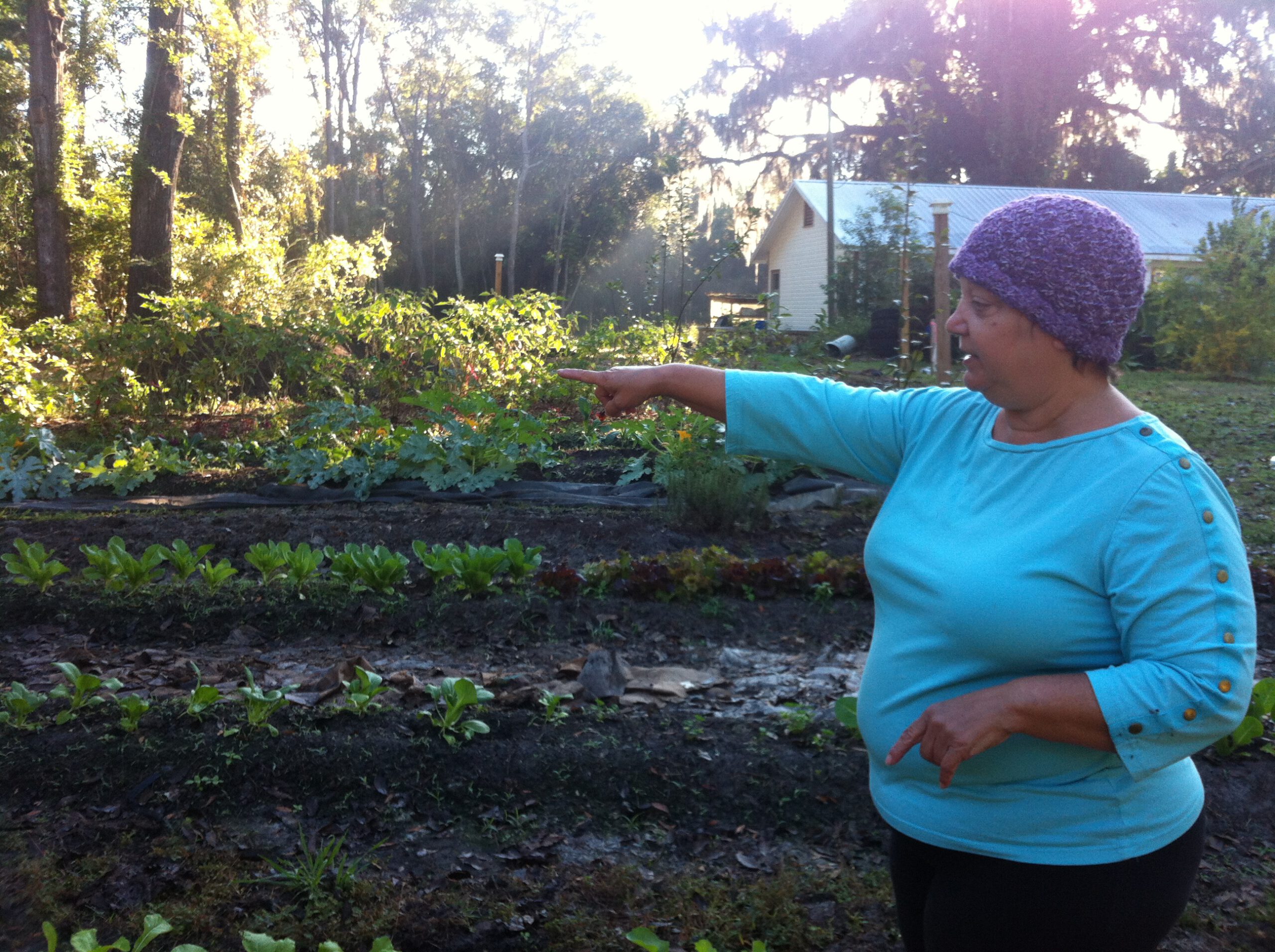 Farm rows and a home in District 10