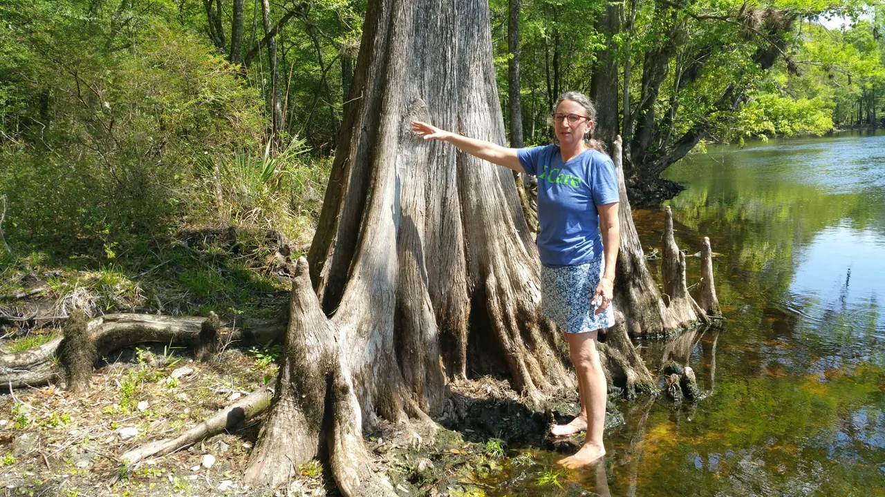 Merrillee beside a cypress on the Santa Fe River